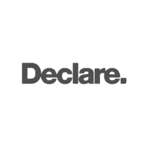 declare-logo